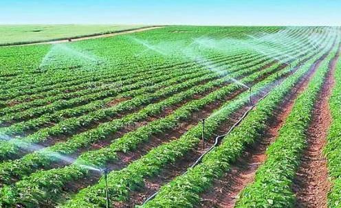 曰B免费视频农田高 效节水灌溉